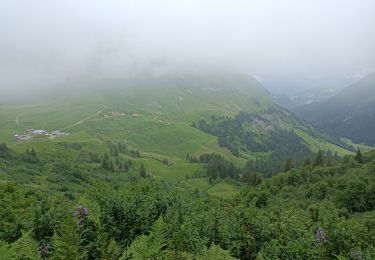 Percorso Marcia Le Grand-Bornand - gramusset - Photo