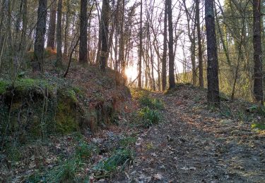 Trail On foot Lasarte-Oria - Lasarte-Oria / Usurbil (Aginaga) - Photo