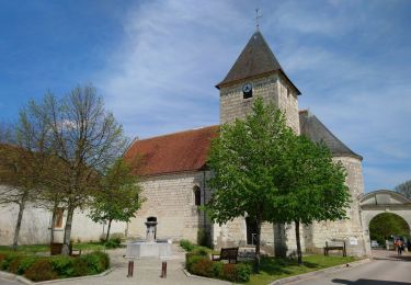 Tour Wandern Mareuil-sur-Cher - Mareuil-sur-Cher - 9.4km 160m 2h25 - 2018 04 01 - Photo