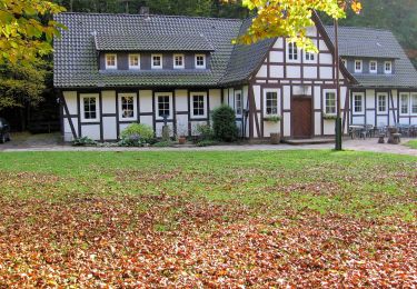 Tour Zu Fuß Auetal - HO1 - Amelungsberg-Route - Photo