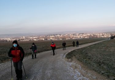 Percorso Marcia Boulay-Moselle - randonnée du 11/02/22 - Photo