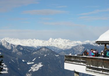 Tour Zu Fuß Brixen - Brixener Höhenweg - Photo