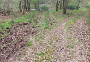 Trail Walking Bouillon - bouillon - Photo