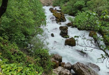 Percorso Marcia Fontaine-de-Vaucluse - la fontaine de Vaucluse - Photo