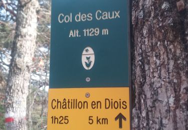 Trail Walking Die - Abbaye Val croissant - Chatillon en diois - Photo