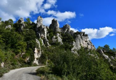 Tour Wandern La Roquebrussanne - La Roquebrussane - Massif de la Loube - Chapelle ND de l'Inspiration - Photo