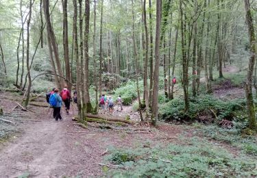 Trail Walking Château-Thierry - Château - Verdilly du 29-08-2021 - Photo