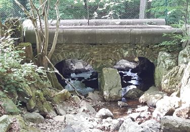 Tour Wandern Jalhay - le huit de nivezé  - Photo