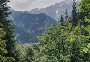 Randonnée Marche Pralognan-la-Vanoise - les crêtes du Mont Charvet - Photo