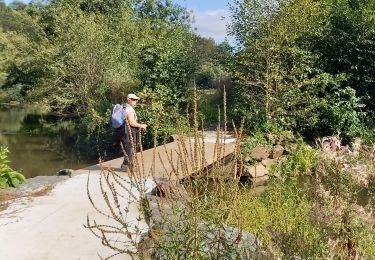 Tour Wandern Chantonnay - Chantonnay - La Jaudonniere - Photo