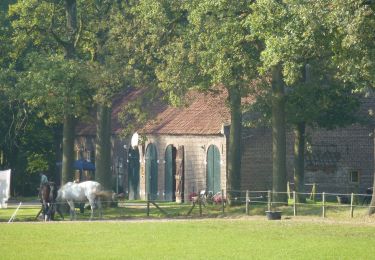 Tour Zu Fuß Geldrop-Mierlo - Strabrechtse Heide - Photo