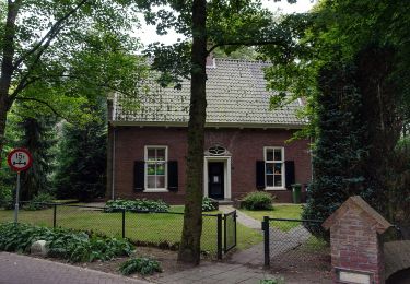 Randonnée A pied Oisterwijk - Kolkvenroute - Photo