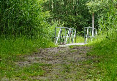 Trail On foot Het Hogeland - Observatietorenroute - Photo