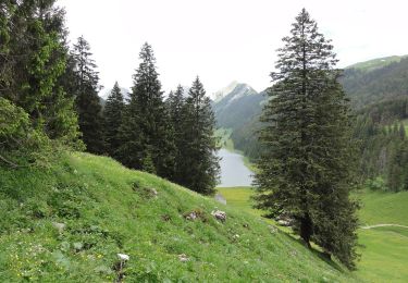 Tour Zu Fuß Rüte - Ruhsitz - Rainhütte - Photo
