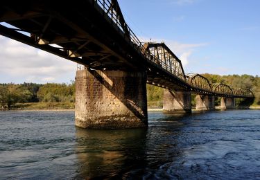 Excursión A pie Leuggern - Regenhalden - Döttingen Brücke - Photo