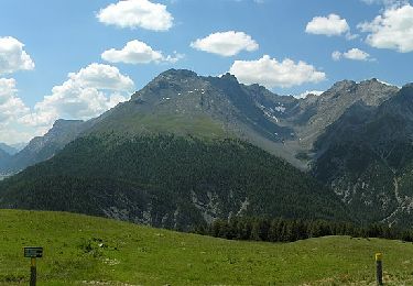 Randonnée A pied Val Müstair - Nationalpark Wanderroute 15 (Munt la Schera) - Photo