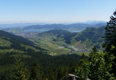 Trail On foot Schwyz - Teuffeli - Brüschrainhöchi - Photo