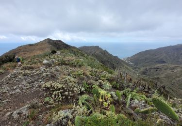 Trail Walking Santa Cruz de Tenerife - Igueste - Punta de Antequera - Photo