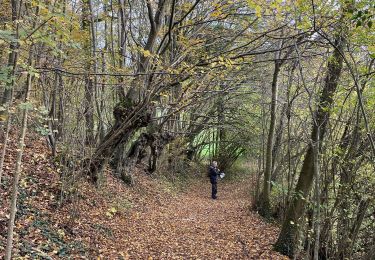 Tocht Stappen Sprimont - Balade 7 Sprimont - Photo