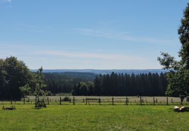 Tocht Stappen Houffalize - randos les colas 5-09-2023 - Photo