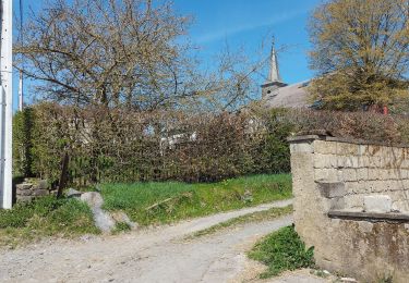 Tocht Stappen Houffalize - houffalize - Photo