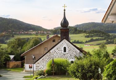 Tour Zu Fuß Grainet - Graineter Kapellenweg - Photo