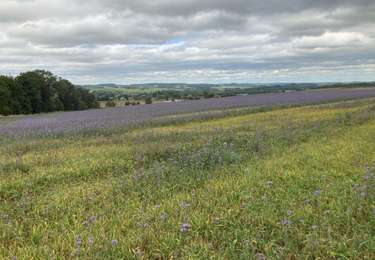 Tour Wandern Durbuy - Les 20 km de Borlon 2 - Photo