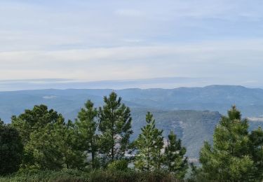 Randonnée Marche Cavalaire-sur-Mer - Cavalaire - oppidum de montjean crête des pradels - Photo