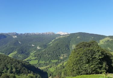 Randonnée Marche Osse-en-Aspe - Soum de Pirait - Photo
