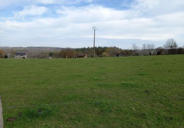 Tour Wandern Ferrières - Fermières 15 nov 20 - Photo