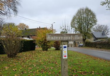 Randonnée Marche Butgenbach - A la découverte de Weywertz 🥾 - Photo