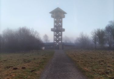 Randonnée Marche Spa - Les caillebotis de malchamps - Photo