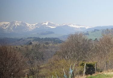 Tocht Motorfiets Issoire - Murol / Besse  - Photo