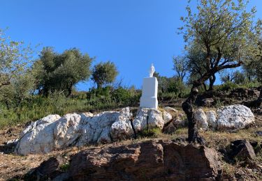 Tour Wandern Bormes-les-Mimosas - Bregancon via l’espagnol - Photo