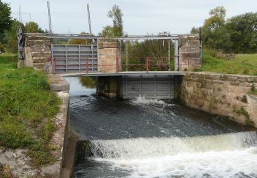 Tour Zu Fuß Neunkirchen - Hirschbergweg – Ost - Photo