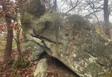 Tocht Noords wandelen Fontainebleau - Croix Toulouse - Photo