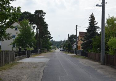 Tocht Te voet Altdöbern - Rundwanderweg Alt Döbern - Photo