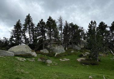 Excursión Senderismo Angoustrine-Villeneuve-des-Escaldes - Le Bones Hores - Refuge de Camporels - Photo