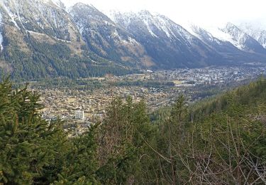 Trail Walking Chamonix-Mont-Blanc - aller/retour La Floria Chamonix  - Photo