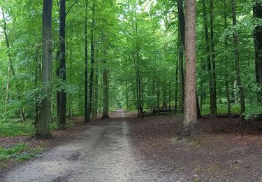 Tour Wandern Watermael-Boitsfort - Watermaal-Bosvoorde - 2020.10.05.P - Photo