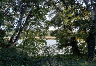 Randonnée Marche Rochemaure - Rochemaure Le Barrage 7km - Photo