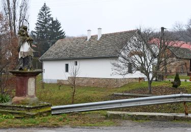 Percorso A piedi Závod - P■ Kurd - Lengyel - Závod - Photo