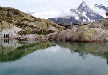Excursión Senderismo Chamonix-Mont-Blanc - Jeudi AM-G2-Retour le lac Blanc à la Flégère - Photo
