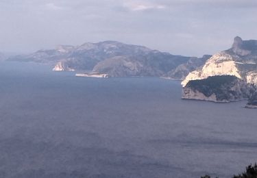 Randonnée Marche La Ciotat - La Ciotat le sémaphore  - Photo