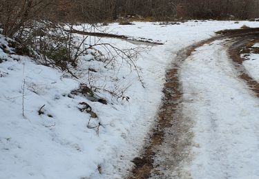 Trail Walking Bouyon - BROC ANOU - Photo