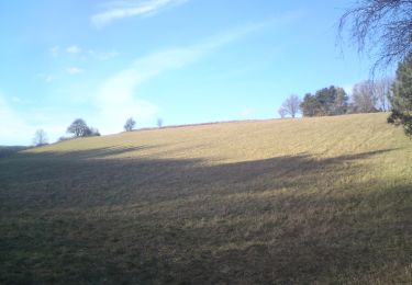 Tocht Te voet Gemeinde Wienerwald - Siegenfeld - Meierei Füllenberg - Photo