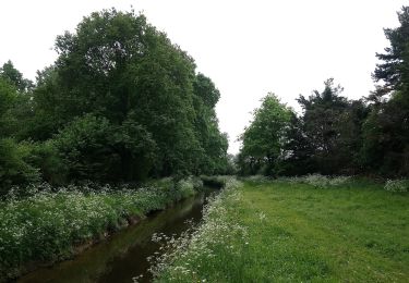 Randonnée A pied Riaillé - L'étang de la Provostière - Photo