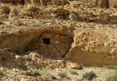 Randonnée A pied Conseil régional de Ramat Negev - נחל אלות - Photo