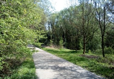Trail Walking Blegny - Promenade du vendredi - Photo