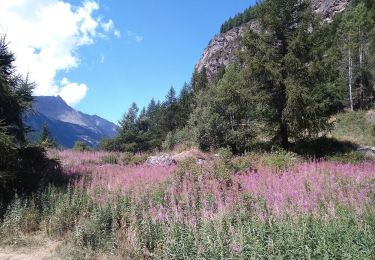 Randonnée A pied Cogne - Alta Via n. 2 della Valle d'Aosta - Tappa 10 - Photo